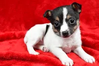 processed/cfc10f68-315f-46a7-8513-a597ad1b79c4/listing/25daea2d-12f4-421b-a55f-b8ddeda63cfe/24460217-8875-4120-b865-da38f439accd