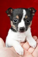 processed/cfc10f68-315f-46a7-8513-a597ad1b79c4/listing/25daea2d-12f4-421b-a55f-b8ddeda63cfe/604c722e-7a7f-49f9-a8cd-8ccea2859f4a