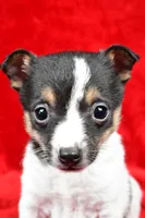 processed/cfc10f68-315f-46a7-8513-a597ad1b79c4/listing/25daea2d-12f4-421b-a55f-b8ddeda63cfe/a4aaabe3-f798-494d-b3d6-e422a718a986