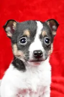 processed/cfc10f68-315f-46a7-8513-a597ad1b79c4/listing/25daea2d-12f4-421b-a55f-b8ddeda63cfe/d7e48cc4-7359-45a9-ad2e-2b0da35a01f0