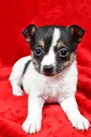 processed/cfc10f68-315f-46a7-8513-a597ad1b79c4/listing/25daea2d-12f4-421b-a55f-b8ddeda63cfe/ee689cca-b8b0-4556-8378-fea9e34d3e7a