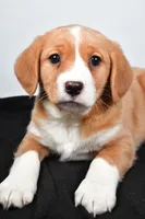 processed/cfc10f68-315f-46a7-8513-a597ad1b79c4/listing/340b32b2-7cb6-478f-b752-7be10ad05e42/514dea9d-03b5-4ea5-ac13-df0c920c3bcd