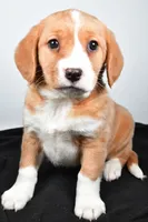 processed/cfc10f68-315f-46a7-8513-a597ad1b79c4/listing/340b32b2-7cb6-478f-b752-7be10ad05e42/b7184643-53f8-454c-b562-7b3be43325d5