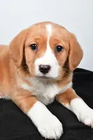 processed/cfc10f68-315f-46a7-8513-a597ad1b79c4/listing/340b32b2-7cb6-478f-b752-7be10ad05e42/ffb91fe7-aaf4-4003-ab5e-95acfa45e6b0