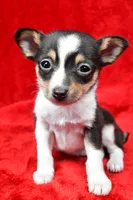 processed/cfc10f68-315f-46a7-8513-a597ad1b79c4/listing/3e2f4bb2-9889-45b1-8eb0-531fcf87b273/4a8688d7-e1cd-4482-9ff0-e297d4a59e41