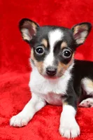 processed/cfc10f68-315f-46a7-8513-a597ad1b79c4/listing/3e2f4bb2-9889-45b1-8eb0-531fcf87b273/f240194b-551b-4cd9-84d5-440937030600