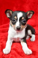 processed/cfc10f68-315f-46a7-8513-a597ad1b79c4/listing/3e2f4bb2-9889-45b1-8eb0-531fcf87b273/f95d3501-016b-4ab8-b5dd-a35cecea01e2