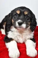 processed/cfc10f68-315f-46a7-8513-a597ad1b79c4/listing/4a079ee6-c21d-4590-9e6b-e007dbef683e/1f849f16-cf35-4da0-aa7f-2211ae376269