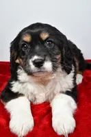 processed/cfc10f68-315f-46a7-8513-a597ad1b79c4/listing/4a079ee6-c21d-4590-9e6b-e007dbef683e/60b5de5e-b454-44f3-8d48-04b17eed262a