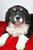 processed/cfc10f68-315f-46a7-8513-a597ad1b79c4/listing/4a079ee6-c21d-4590-9e6b-e007dbef683e/c2f7fbb5-7c96-4941-a92a-64207ef4d5bc