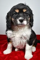 processed/cfc10f68-315f-46a7-8513-a597ad1b79c4/listing/4a079ee6-c21d-4590-9e6b-e007dbef683e/ed6d6509-c575-4d6e-a108-e48f7d103fdf