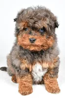 processed/cfc10f68-315f-46a7-8513-a597ad1b79c4/listing/78388df1-5937-4a2b-8455-49f994afe82c/15ea3a0c-0098-487b-82fd-1c7a8c6ccaf7