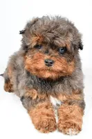 processed/cfc10f68-315f-46a7-8513-a597ad1b79c4/listing/78388df1-5937-4a2b-8455-49f994afe82c/1d455480-5d74-4c15-9f22-e01d32f0b596