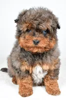 processed/cfc10f68-315f-46a7-8513-a597ad1b79c4/listing/78388df1-5937-4a2b-8455-49f994afe82c/4c078f14-7846-4e73-a8c1-dfe80bd33846