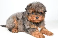 processed/cfc10f68-315f-46a7-8513-a597ad1b79c4/listing/78388df1-5937-4a2b-8455-49f994afe82c/522eebac-4ecb-40f8-a902-3f8db94bf8b7