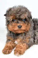 processed/cfc10f68-315f-46a7-8513-a597ad1b79c4/listing/78388df1-5937-4a2b-8455-49f994afe82c/5e73a19e-7b98-46c6-abf3-c2ebc4037501