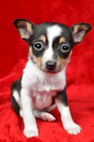 processed/cfc10f68-315f-46a7-8513-a597ad1b79c4/listing/954a483e-d64c-4cf1-bd37-0285428caafc/0b05522f-d41c-44c4-8b3a-968c8584060f