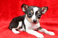 processed/cfc10f68-315f-46a7-8513-a597ad1b79c4/listing/954a483e-d64c-4cf1-bd37-0285428caafc/9e619ef2-90fb-4731-82bd-16c9a53e816f