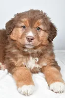 processed/cfc10f68-315f-46a7-8513-a597ad1b79c4/listing/c55c7f8a-8491-44c8-a19c-ba1f7f7f9d5e/3b13ef2b-d7f2-4a04-84e8-6ff4cc1a9374