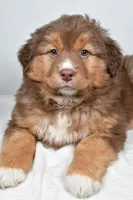 processed/cfc10f68-315f-46a7-8513-a597ad1b79c4/listing/c55c7f8a-8491-44c8-a19c-ba1f7f7f9d5e/61a32399-d431-4871-b425-3dc9f544ef8d