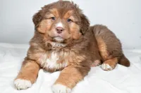 processed/cfc10f68-315f-46a7-8513-a597ad1b79c4/listing/c55c7f8a-8491-44c8-a19c-ba1f7f7f9d5e/8fe0a6b1-0cd5-4dd6-8e85-d373f475261c