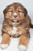 processed/cfc10f68-315f-46a7-8513-a597ad1b79c4/listing/c55c7f8a-8491-44c8-a19c-ba1f7f7f9d5e/972ab1b1-838c-444f-9790-38f0442d3a6b