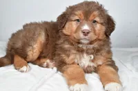 processed/cfc10f68-315f-46a7-8513-a597ad1b79c4/listing/c55c7f8a-8491-44c8-a19c-ba1f7f7f9d5e/aa82b4dc-0c6c-4831-b70d-e0b820989309