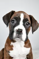 processed/cfc10f68-315f-46a7-8513-a597ad1b79c4/listing/d6b22053-e633-4bec-b8cb-b42562d7ac91/02ba62ea-fe0e-4472-abbe-17b64a982e06