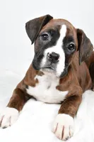 processed/cfc10f68-315f-46a7-8513-a597ad1b79c4/listing/d6b22053-e633-4bec-b8cb-b42562d7ac91/6a5228c1-0758-4b4b-ae55-2bb2b488df22