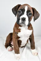 processed/cfc10f68-315f-46a7-8513-a597ad1b79c4/listing/d6b22053-e633-4bec-b8cb-b42562d7ac91/751a30dd-035b-4bfb-8be5-750b542a404b