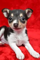 processed/cfc10f68-315f-46a7-8513-a597ad1b79c4/listing/f2ae576f-5187-4ff0-afa1-d4c76973f7ae/0860b055-f4f2-4bc3-a651-13fcd4d3e94a