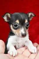 processed/cfc10f68-315f-46a7-8513-a597ad1b79c4/listing/f2ae576f-5187-4ff0-afa1-d4c76973f7ae/22ce82c1-a74c-4d6b-8501-0138532c11c2