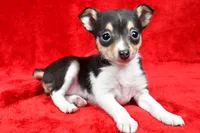 processed/cfc10f68-315f-46a7-8513-a597ad1b79c4/listing/f2ae576f-5187-4ff0-afa1-d4c76973f7ae/97bea847-d2a3-41e5-be95-b1e91b95070d