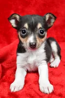 processed/cfc10f68-315f-46a7-8513-a597ad1b79c4/listing/f2ae576f-5187-4ff0-afa1-d4c76973f7ae/b9c68a90-1de2-4ecc-8c9d-b9f96cd3e217