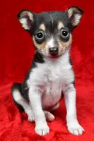 processed/cfc10f68-315f-46a7-8513-a597ad1b79c4/listing/f2ae576f-5187-4ff0-afa1-d4c76973f7ae/ed867e10-57e6-4396-bd58-e3fb59e6c60f