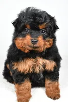 processed/cfc10f68-315f-46a7-8513-a597ad1b79c4/listing/f663193f-b39b-4f46-b49c-811be3d8a4ed/a54af51c-42c4-42cd-b438-da76b483809e