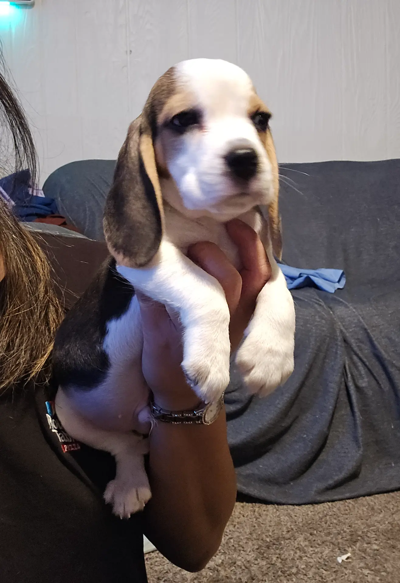 processed/cfd8e8f7-b528-4203-9403-9025244fe792/listing/4d31bc7a-d8ef-4982-af89-1569c59020ec/45d9bc76-a0ca-48d3-8645-ce7b8909dba6