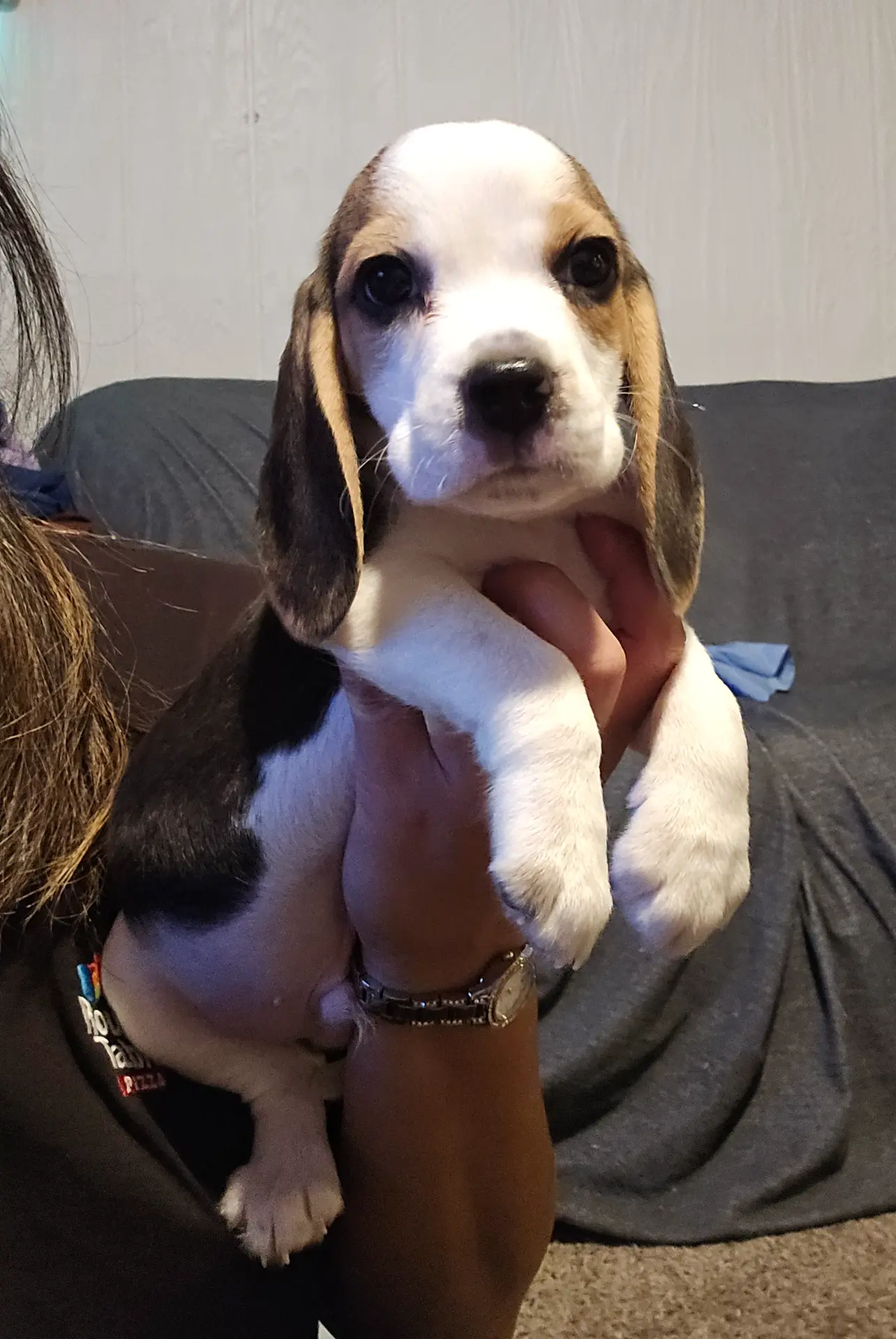 processed/cfd8e8f7-b528-4203-9403-9025244fe792/listing/4d31bc7a-d8ef-4982-af89-1569c59020ec/8f47beb0-f4b5-4f14-bb8f-ad81169ec466