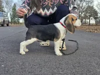 processed/cfd8e8f7-b528-4203-9403-9025244fe792/listing/4d31bc7a-d8ef-4982-af89-1569c59020ec/ef9a3bde-76c1-4d2b-8bfb-6bb0312aedb3