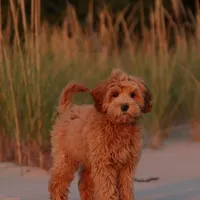 processed/cfdcece1-dffb-44d7-9010-7310a9681369/facility/1767242d-2abd-492d-976a-b76167931292