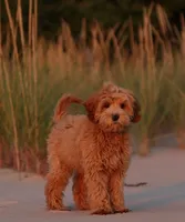 processed/cfdcece1-dffb-44d7-9010-7310a9681369/facility/1767242d-2abd-492d-976a-b76167931292