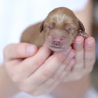 processed/cfdcece1-dffb-44d7-9010-7310a9681369/facility/25bc97af-35f2-4364-9819-5b9699214de3