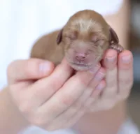 processed/cfdcece1-dffb-44d7-9010-7310a9681369/facility/25bc97af-35f2-4364-9819-5b9699214de3