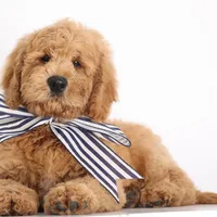 processed/cfdcece1-dffb-44d7-9010-7310a9681369/facility/759ac32b-bd01-40a6-aaec-544c54f57665