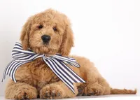 processed/cfdcece1-dffb-44d7-9010-7310a9681369/facility/759ac32b-bd01-40a6-aaec-544c54f57665