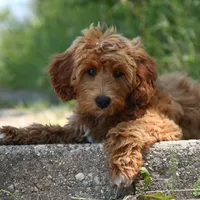 processed/cfdcece1-dffb-44d7-9010-7310a9681369/facility/767afd9c-1eca-4ae6-8c53-311651c962d1