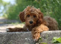 processed/cfdcece1-dffb-44d7-9010-7310a9681369/facility/767afd9c-1eca-4ae6-8c53-311651c962d1