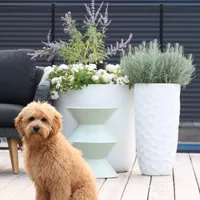 processed/cfdcece1-dffb-44d7-9010-7310a9681369/facility/7c05cd1d-9597-4b2e-9f1d-2ee0d4cb8979