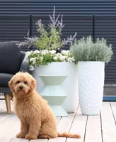 processed/cfdcece1-dffb-44d7-9010-7310a9681369/facility/7c05cd1d-9597-4b2e-9f1d-2ee0d4cb8979