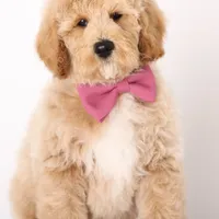 processed/cfdcece1-dffb-44d7-9010-7310a9681369/facility/b53d0928-1aec-4439-adb3-41c919a93708